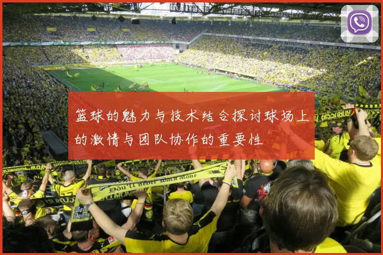 篮球的魅力与技术结合探讨球场上的激情与团队协作的重要性