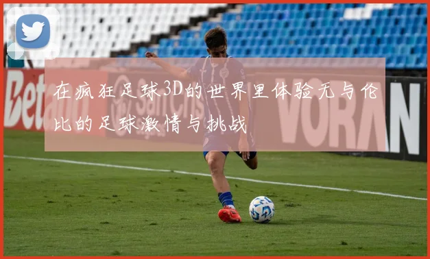 在疯狂足球3D的世界里体验无与伦比的足球激情与挑战