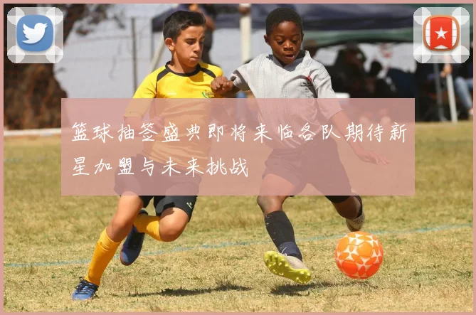 篮球抽签盛典即将来临各队期待新星加盟与未来挑战